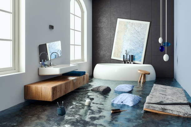 Best Professional water damage repair  in Needville, TX