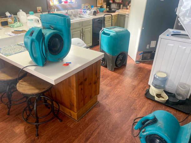 Best Flooded house restoration  in Needville, TX