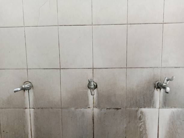 Best Basement water damage restoration  in Needville, TX