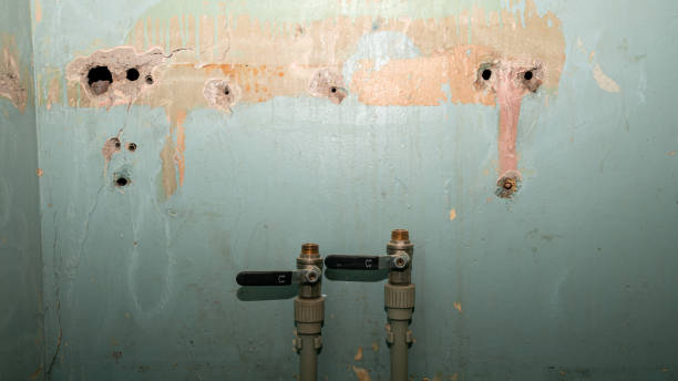 Sewage cleanup and water damage restoration in Needville, TX