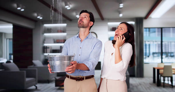 Best 24/7 water damage repair  in Needville, TX